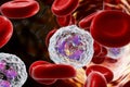 Neutrophil in blood, a white blood cell