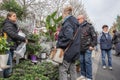 Customers are interested in flowers and other plants offered at a spring garden market