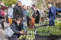 Many customers are interested in funkia (hosta) and other plants offered at a spring garden market