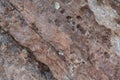 Nevada Desert Canyon Rock Texture