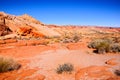 Nevada desert landscape Royalty Free Stock Photo