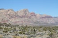 Nevada: Desert Mountains with Yucca Trees