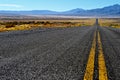 Nevada desert road