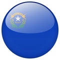 Nevada flag button