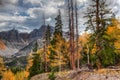 Nevada-Great Basin National Park-Wheeler Peak Trail Royalty Free Stock Photo