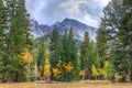 Nevada-Great Basin National Park-Wheeler Peak Trail Royalty Free Stock Photo