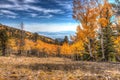 Nevada-Great Basin National Park-Wheeler Peak Trail Royalty Free Stock Photo