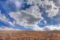 Nevada-Great Basin National Park-Wheeler Peak Trail Royalty Free Stock Photo