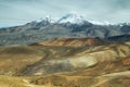 Nevado de Putre and colorful mountain views from Cerro Milagro