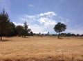 Nevado de Toluca with snow, seen from a park with dry grass