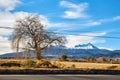 Nevado de Toluca Xinantecatl roadtrip