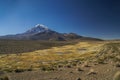 Nevado Sajama