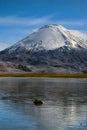 Nevado Sajama