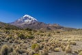 Nevado Sajama