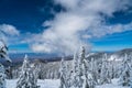 Never ending Amazing Views of Snow Covered landscape