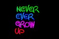 Never ever grow up neon sign.