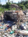 Never give up to finish plastic in our community