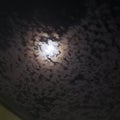 Never seen anything like it. Night sky