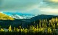 Never Summer Mountains and Evergreens at Sunset Royalty Free Stock Photo