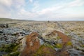 Neverending lava fields in Eldhraun in Iceland Royalty Free Stock Photo