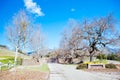 Neverland Ranch in California USA Royalty Free Stock Photo