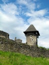 Nevitskiy castle, Uzhgorod, Ukraine