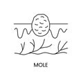 Nevus line icon in vector, illustration of mole in skin layers