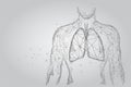 Man silhouette healthy lungs connected dots low poly wireframe. Online doctor World Tuberculosis day Royalty Free Stock Photo