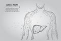 Abstract line and point human body with the liver. Healthcare, Science and Technology
