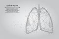 Abstract mash line and point humans lungs connected dots low poly wireframe