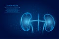 Abstract mash line and point human kidneys. Urology system medicine treatment low poly