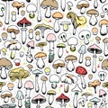 Multicolored forest seamless pattern of painted mushrooms and berries with leaves on a white background