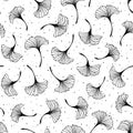 Seamless pattern with ginkgo biloba leaves isolated on white background Royalty Free Stock Photo