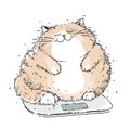 Bodypositive fat cat on the scales