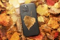the new apple iphone 14, 13 promax on an autumn background of silt leaves in the forest. autumn sale of mobile phones