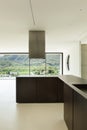 New architecture, modern kitchen