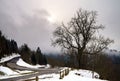 New asphalt auto road in Alsace mountains Royalty Free Stock Photo