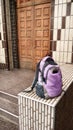 New backpack at the shabby entrance to a school - Portrait