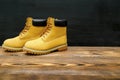 New beautiful brown yellow warm mountain women's winter Timberland tracking shoes, boots, sneakers, trainers logo on