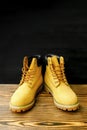 New beautiful brown yellow warm mountain women& x27;s winter Timberland tracking shoes, boots, sneakers, trainers logo on