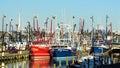 New Bedford fishing fleet in port