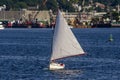 Sweet summer sailing in New Bedford harbor