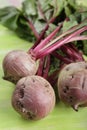 New beetroot Royalty Free Stock Photo