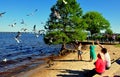 New Bern, NC: Family Feeding Seagulls