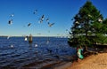 New Bern, NC: Girls Feeding Seagulls