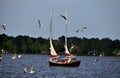 New Bern, NC: Gulls and Sailboat on Neuse River