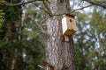 A new bird feeder suspended on a tree. Birdhouse in a nature res
