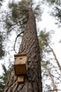 A new bird feeder suspended on a tree. Birdhouse in a nature res