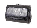 New black wallet or purse of reptile skin leather isolated Royalty Free Stock Photo