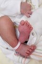 New born babes feet and hand Royalty Free Stock Photo